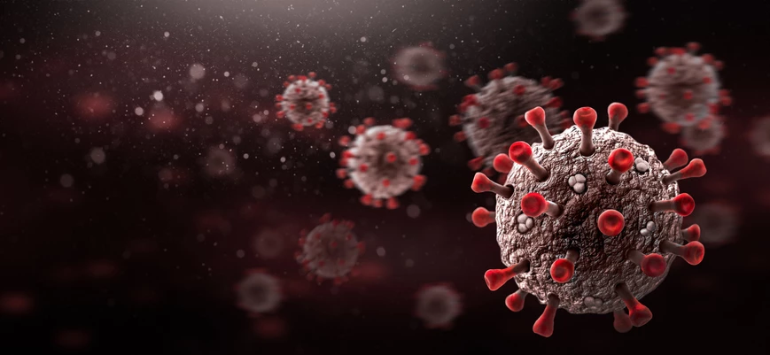 Virus